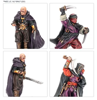 Shows the Corsairs of Umbar range rather than Dalamyr, Fleetmaster of Umbar in particular — the same picture stands for 2 units of this army.