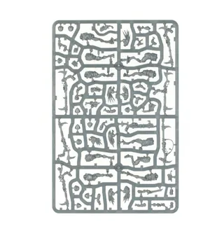 Zdjęcie referencyjne Kroot Carnivores