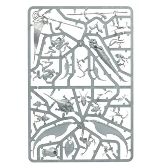 Zeigt die Reihe Sylvaneth und nicht Skaeth's Wild Hunt im Besonderen — dasselbe Bild steht für 2 Einheiten dieser Armee.