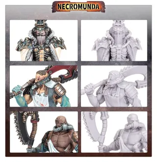 Zdjęcie referencyjne Mercator Pallidus Corpse Harvesting Party