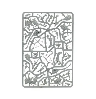 Zeigt die Reihe Lumineth Realm-lords und nicht Thyrielle's Zephyrites im Besonderen — dasselbe Bild steht für 2 Einheiten dieser Armee.