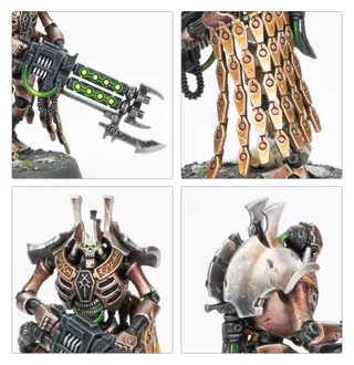 Royal Warden reference photo