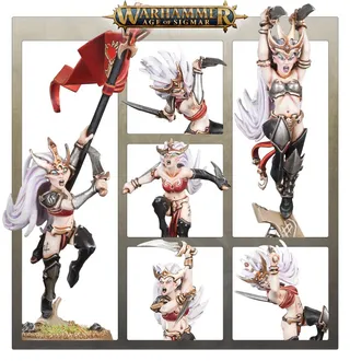 Zdjęcie referencyjne Witch Elves