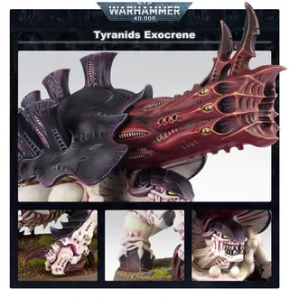 Zdjęcie referencyjne Exocrine