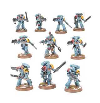 Zdjęcie referencyjne Grey Hunters