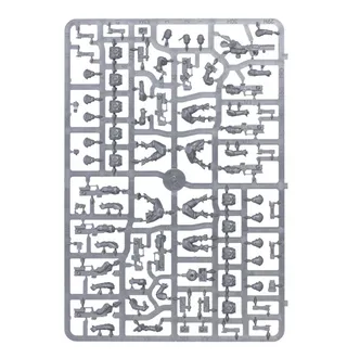 Zdjęcie referencyjne Pathfinder Team