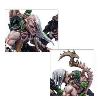 Referenzfoto von Haemonculus