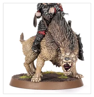Zdjęcie referencyjne Cirion, Lieutenant of Amon Barad