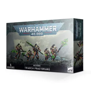 Показує серію Necrons, а не саме Lychguard — те саме зображення представляє 2 підрозділи цієї армії.