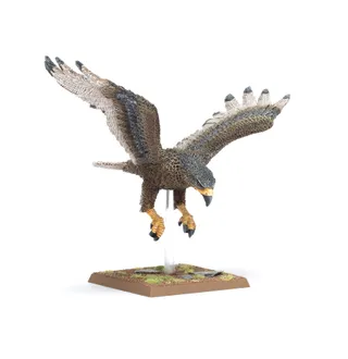 Great Eagles reference photo