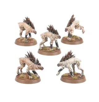 Референсне фото Kroot Hounds