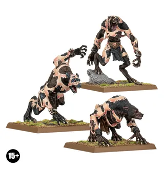 Muestra la gama Warriors of Chaos - Wolves of the Sea y no Skin Wolves en particular — la misma imagen representa a 2 unidades de este ejército.