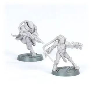 Показує серію House Van Saar, а не саме Van Saar Champions in Mesh and Flak Armour — те саме зображення представляє 2 підрозділи цієї армії.