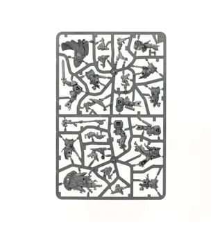 Zdjęcie referencyjne Librarius Adept [Crucible]
